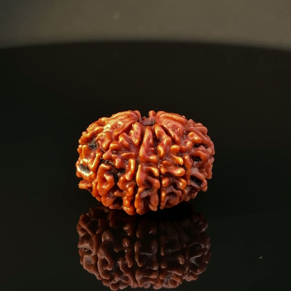 Thumbnail: Certified Original 11-Mukhi Nepali Rudraksha IGL- 146072RD