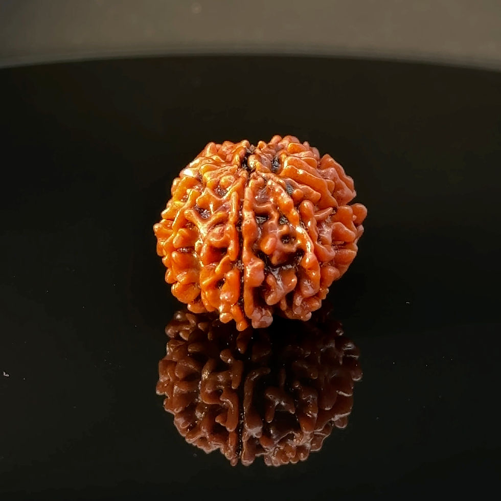 Thumbnail: Certified Original 11-Mukhi Nepali Rudraksha IGL- 146070RD