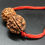 Thumbnail: Rudraksha Money Kavach