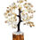 Thumbnail: Gomti Chakra Tree