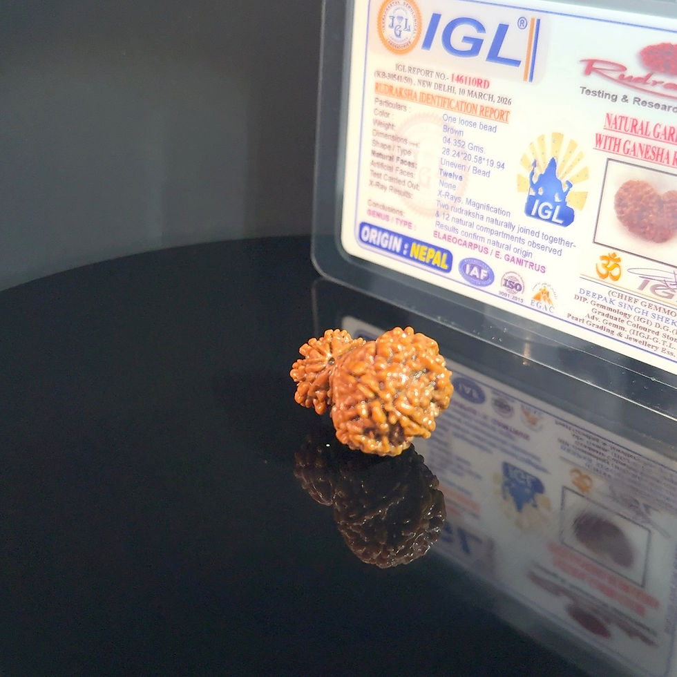 Thumbnail: Certified Garbh Gauri With Ganesh Nepali Rudraksha IGL- 146110RD