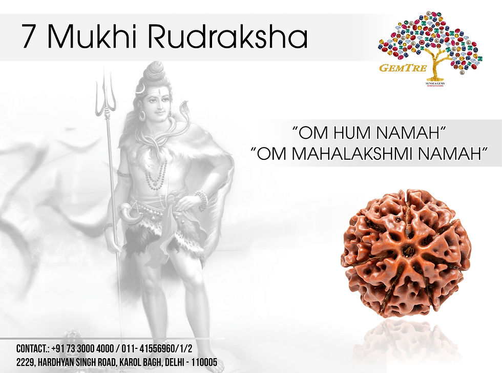 Thumbnail: 7 Mukhi Nepali Rudraksha