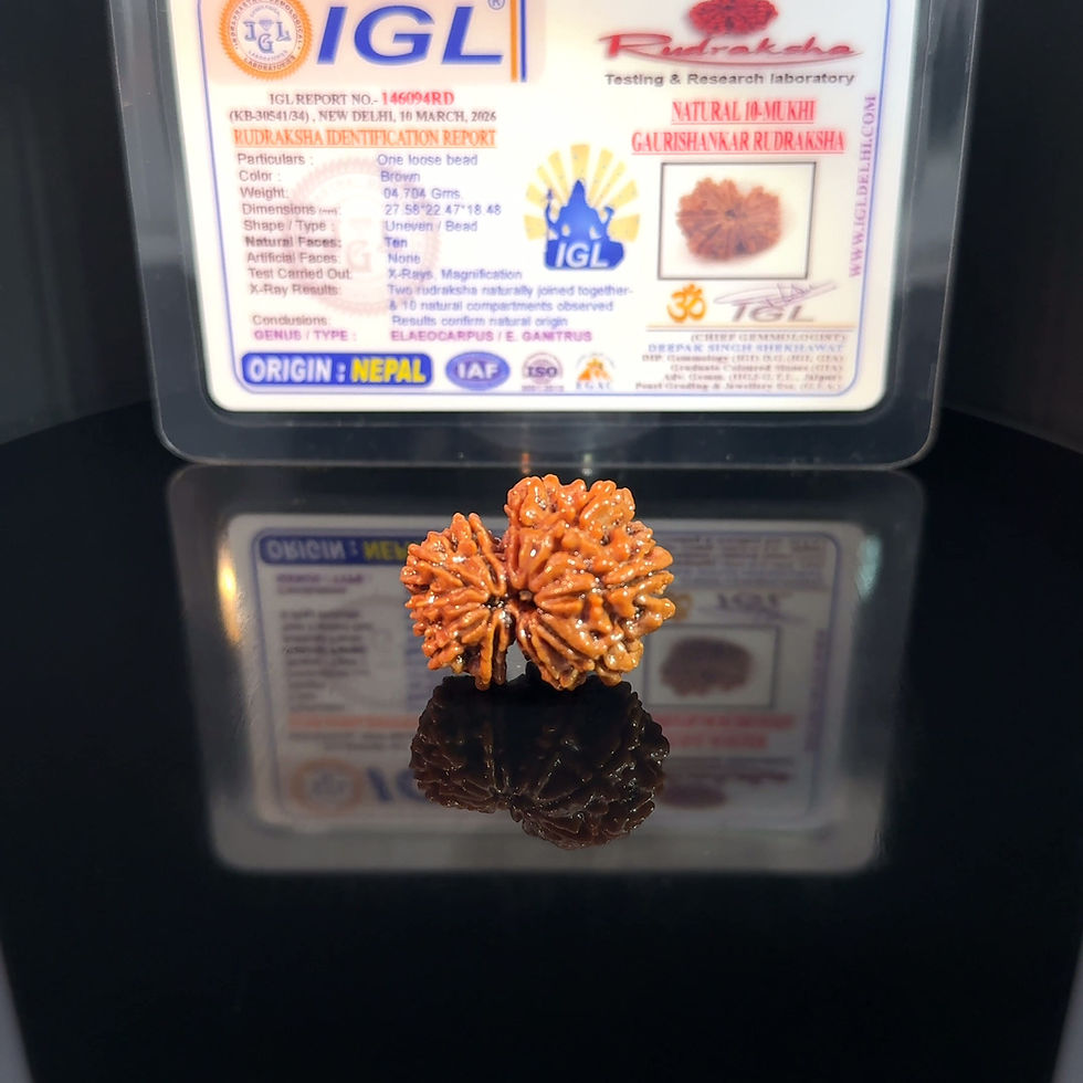 Thumbnail: Certified Gauri Shankar Rudraksha IGL - 146094RD