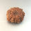 Thumbnail: 12 Mukhi Nepali Rudraksha
