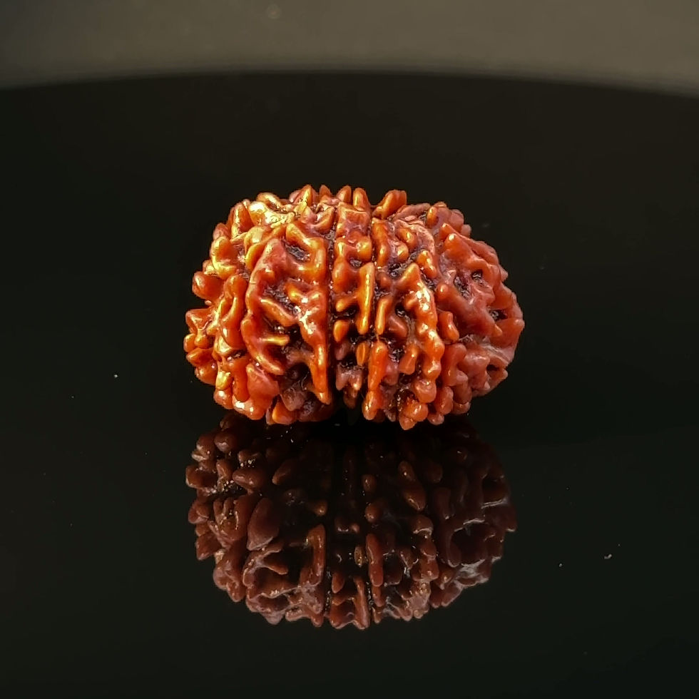 Thumbnail: Certified Original 11-Mukhi Nepali Rudraksha IGL- 146070RD