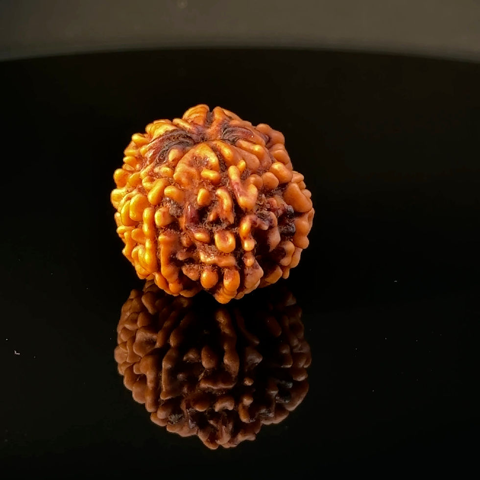 Thumbnail: Certified Original 11-Mukhi Nepali Rudraksha IGL- 146076RD
