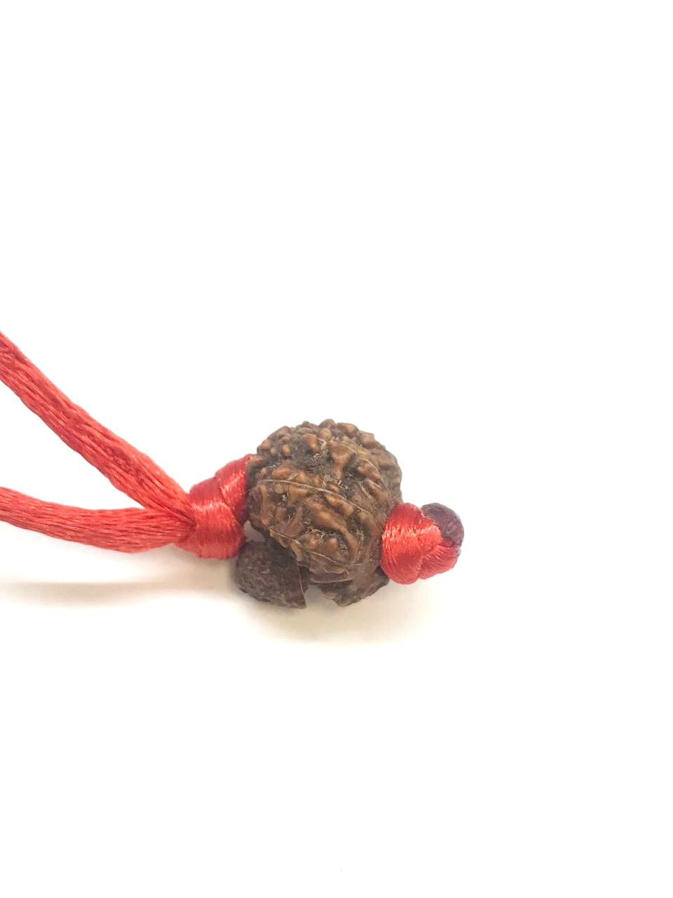 Thumbnail: Rudraksha Fertility & Pregnancy