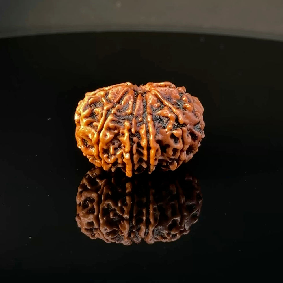 Thumbnail: Certified Original 11-Mukhi Nepali Rudraksha IGL- 146071RD