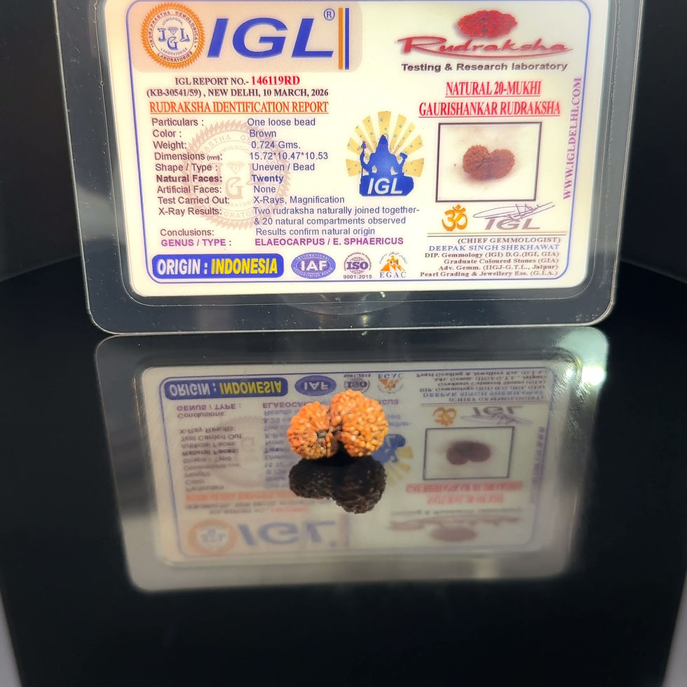 Thumbnail: Certified Gauri Shankar Indonesion Rudraksha IGL- 146119RD