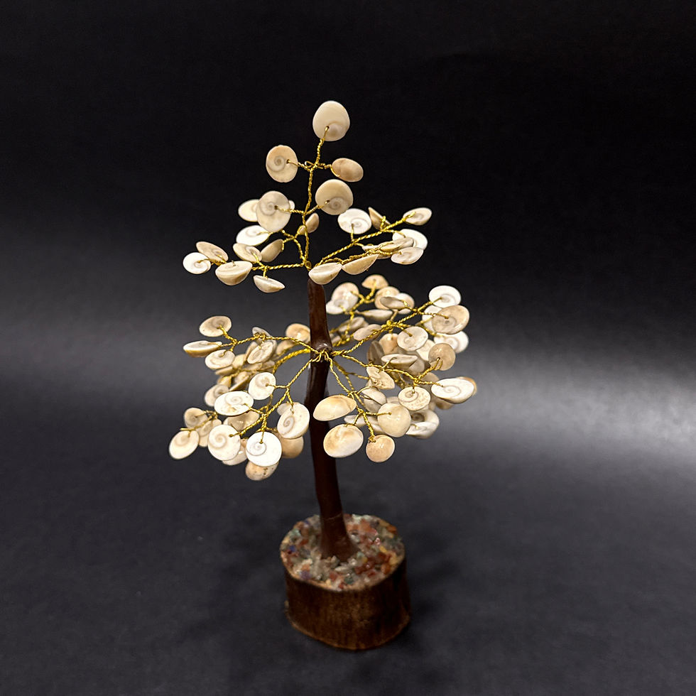 Thumbnail: Gomti Chakra Tree