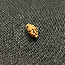 1 Mukhi Small Indonesian Rudraksha
