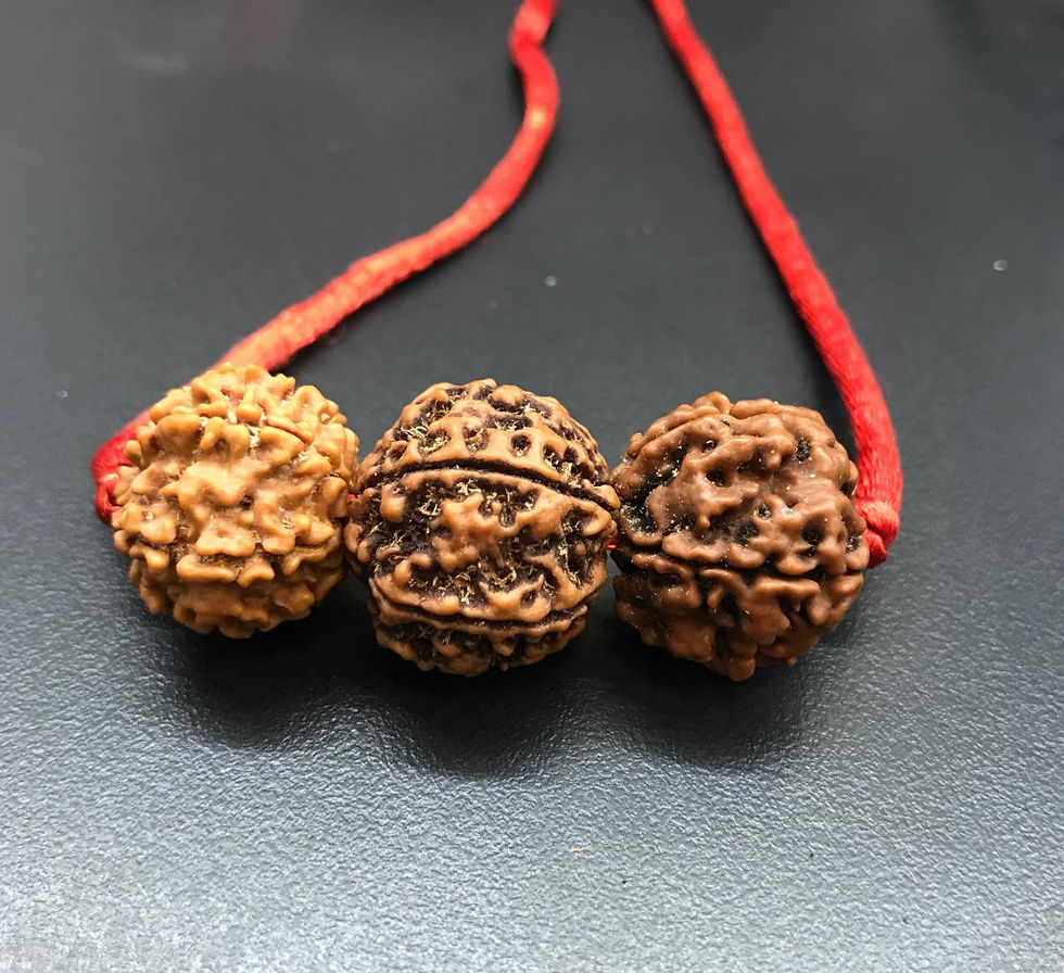 Thumbnail: Rudraksha Health Kavach