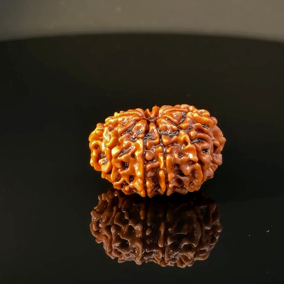 Thumbnail: Certified Original 11-Mukhi Nepali Rudraksha IGL- 146074RD