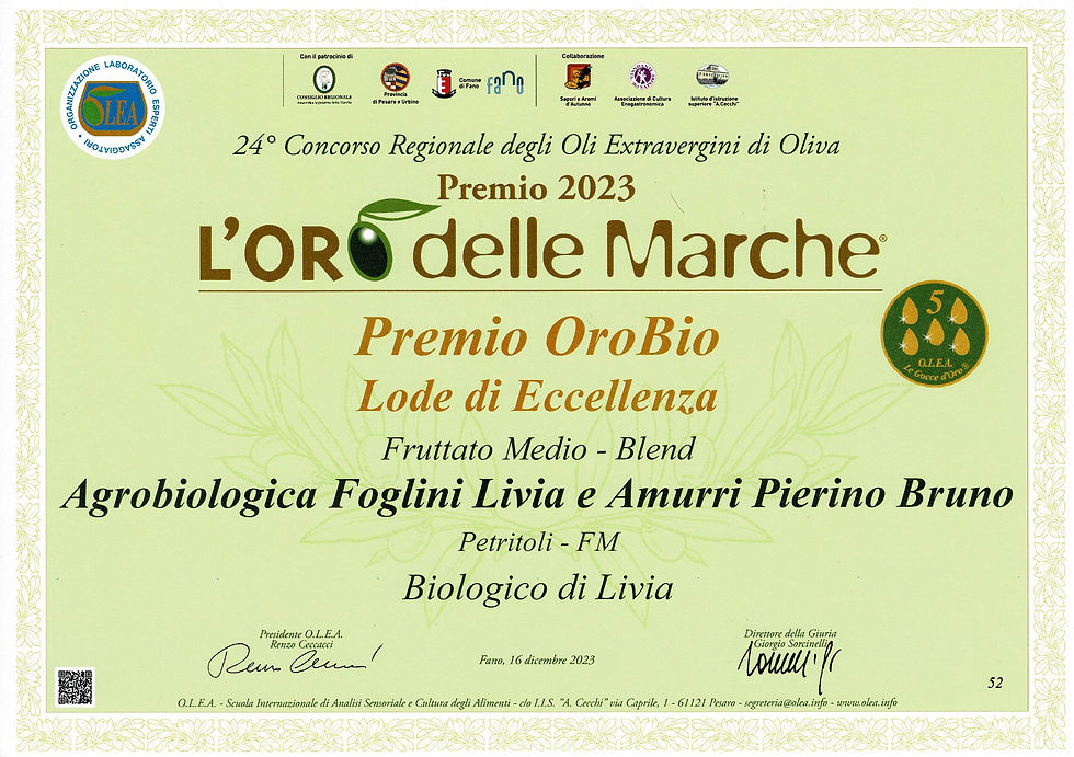 Miniatura: Olio EVO " BLEND " - Lattina 1 lt