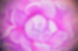 AdobeStock_180990668 (1).jpeg
