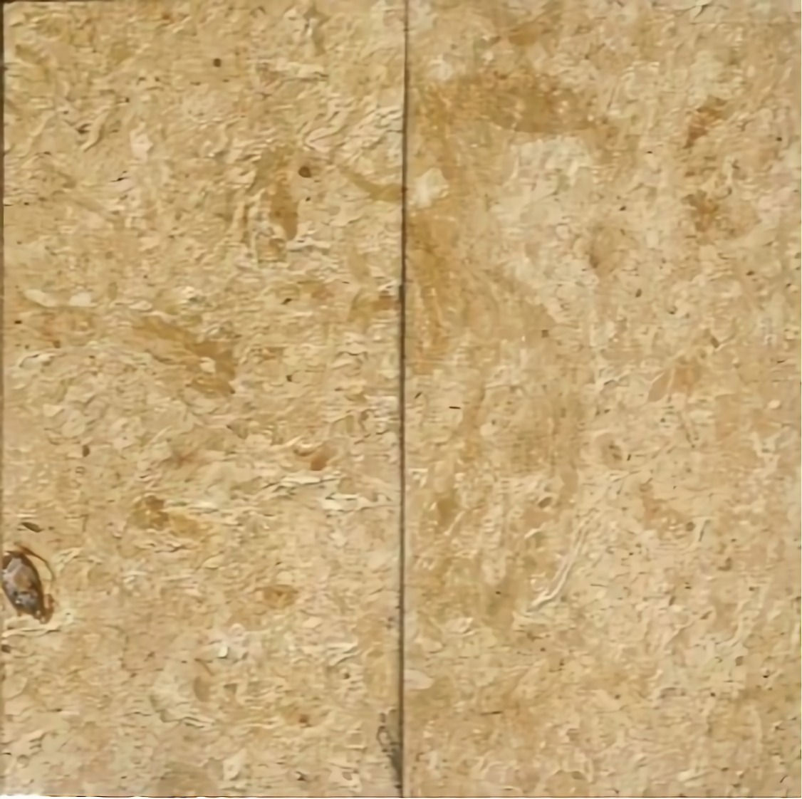 FLOWERY GOLD ANTIQUE / 2'-6' x 2'-3' / ANTIQUE FINISH / LIMESTONE