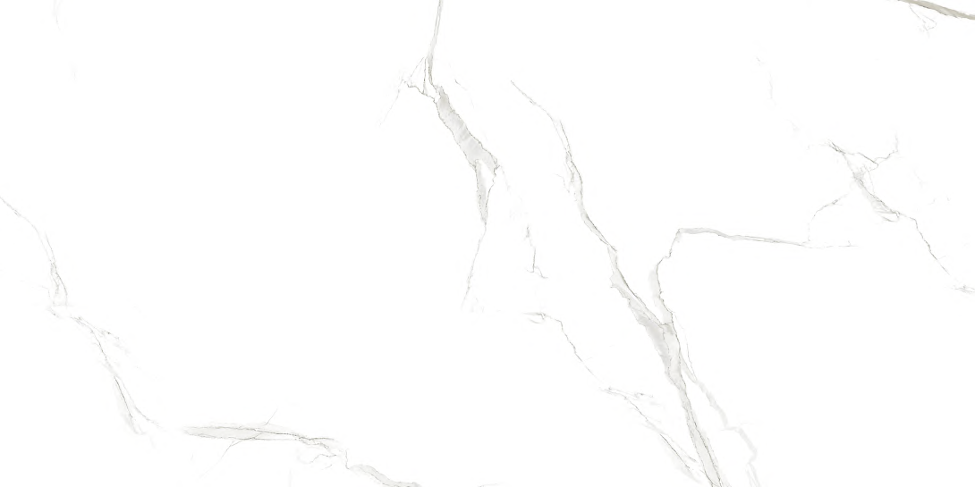 STATURIO CAFFE/1200x600 /vitrified/ GVT/PGVT/ESSENCE/