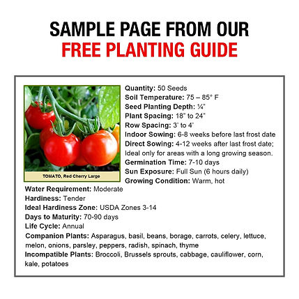 seeds 5 amazon 4.jpg
