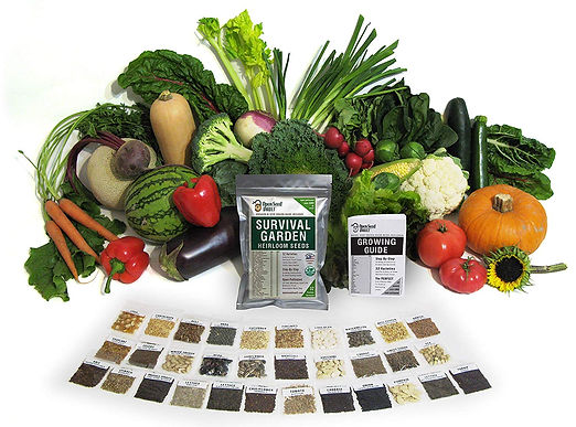 seeds survival garden amazon 2.jpg