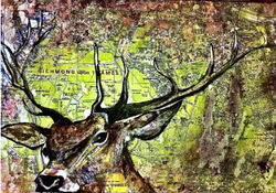 The Richmond Park Stag