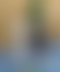 Renshu Certificate of Merit