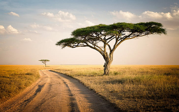 8 Days Safari