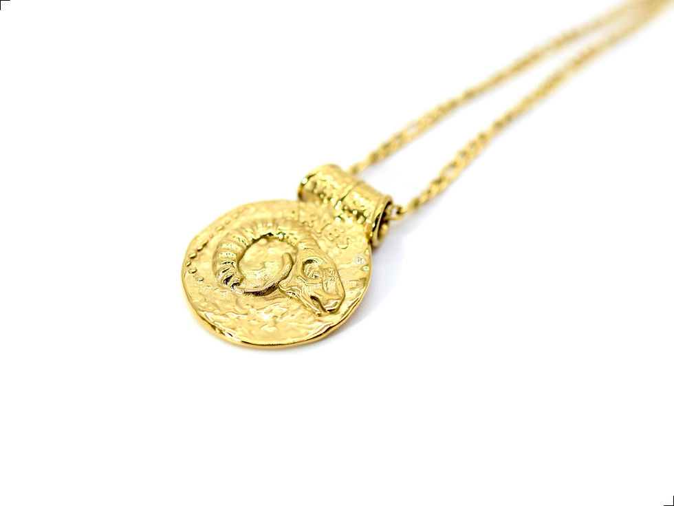 Miniatura: Collar Medallón Signo Aries Titanio 18k