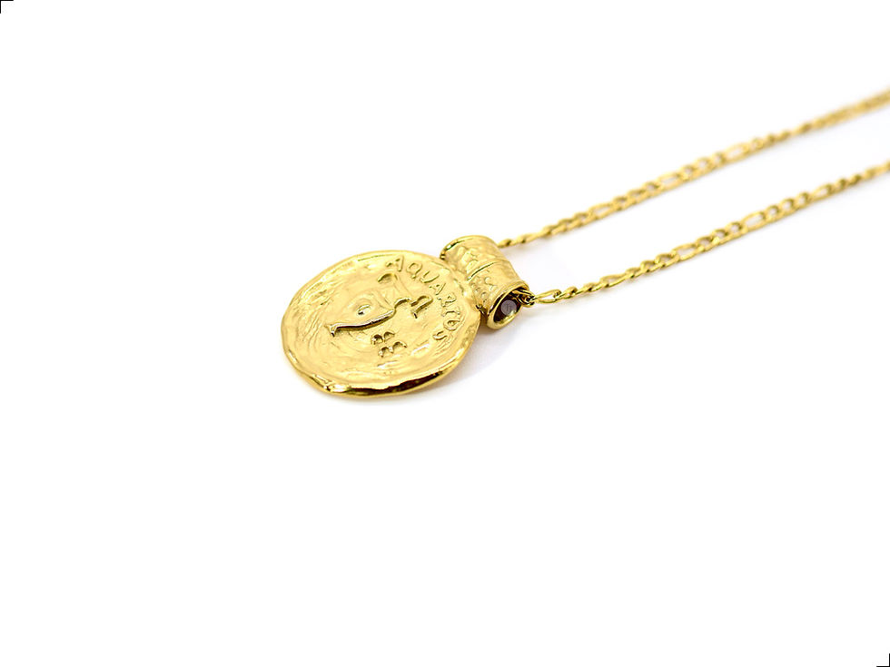Miniatura: Collar Medallón Signo Aquarius Titanio 18k