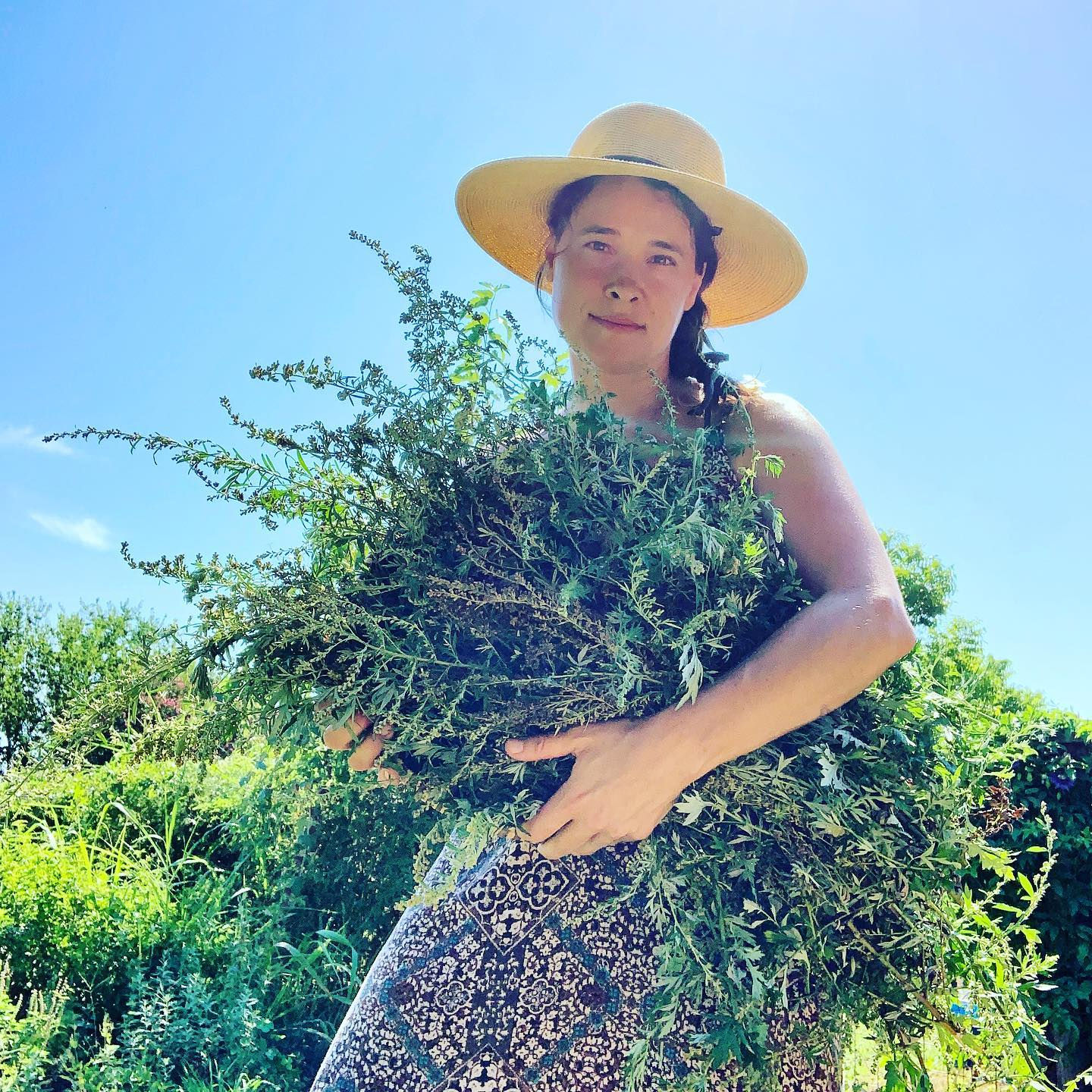 Holistic Wellness Consultation