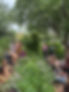 IMG_9309.jpeg