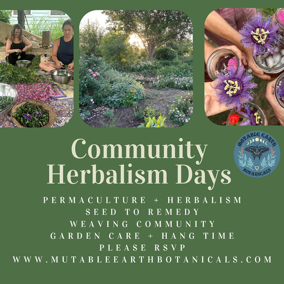 Community Herbalism Days
