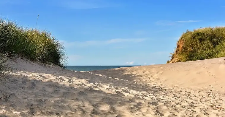 Henne strand.webp