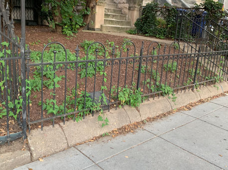 fence