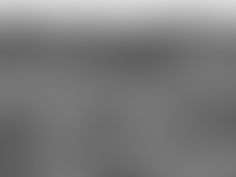 Autoría: Director, diseñador y ecología