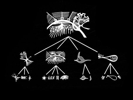 Los Angeles - The architecture of four ecologies