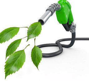 BIOFUESL PRODUCTION 2.jpg