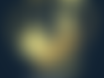 The Joy of Christmas