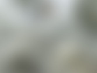 A light in the storm