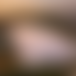 The Raquette Temple Unveiled: Sunter’s Air Dome Revolution for Tennis & Padel