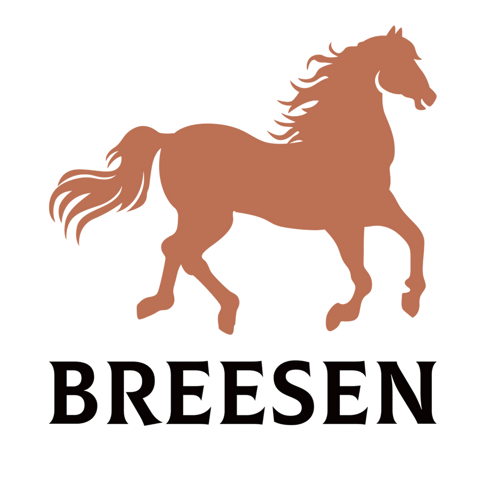 Breesen logo PNG UHD (2).png
