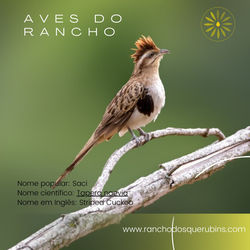 WhatsApp Image 2023-07-17 at 6.15.04 PM