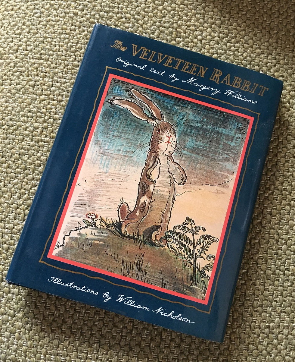 "I suppose you are Real?" said the rabbit.