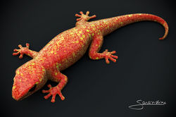 The Orange Lizard