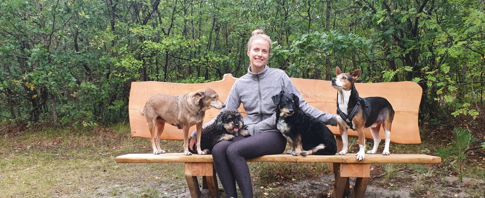 Hondema's dog care hondenuitlaatservice regio Zwolle