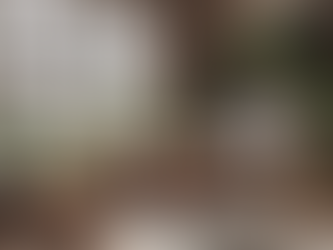 Virtual psychotherapy sessions with Hannah Guidry: tailored support