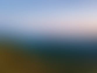 Mid-Year 2025 Market Snapshot: What You Need to Know