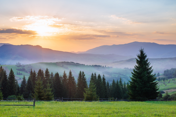 Where The Buyers Are