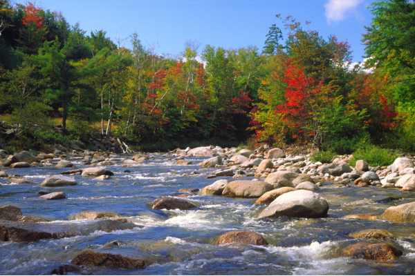 Smoky Mountain creek