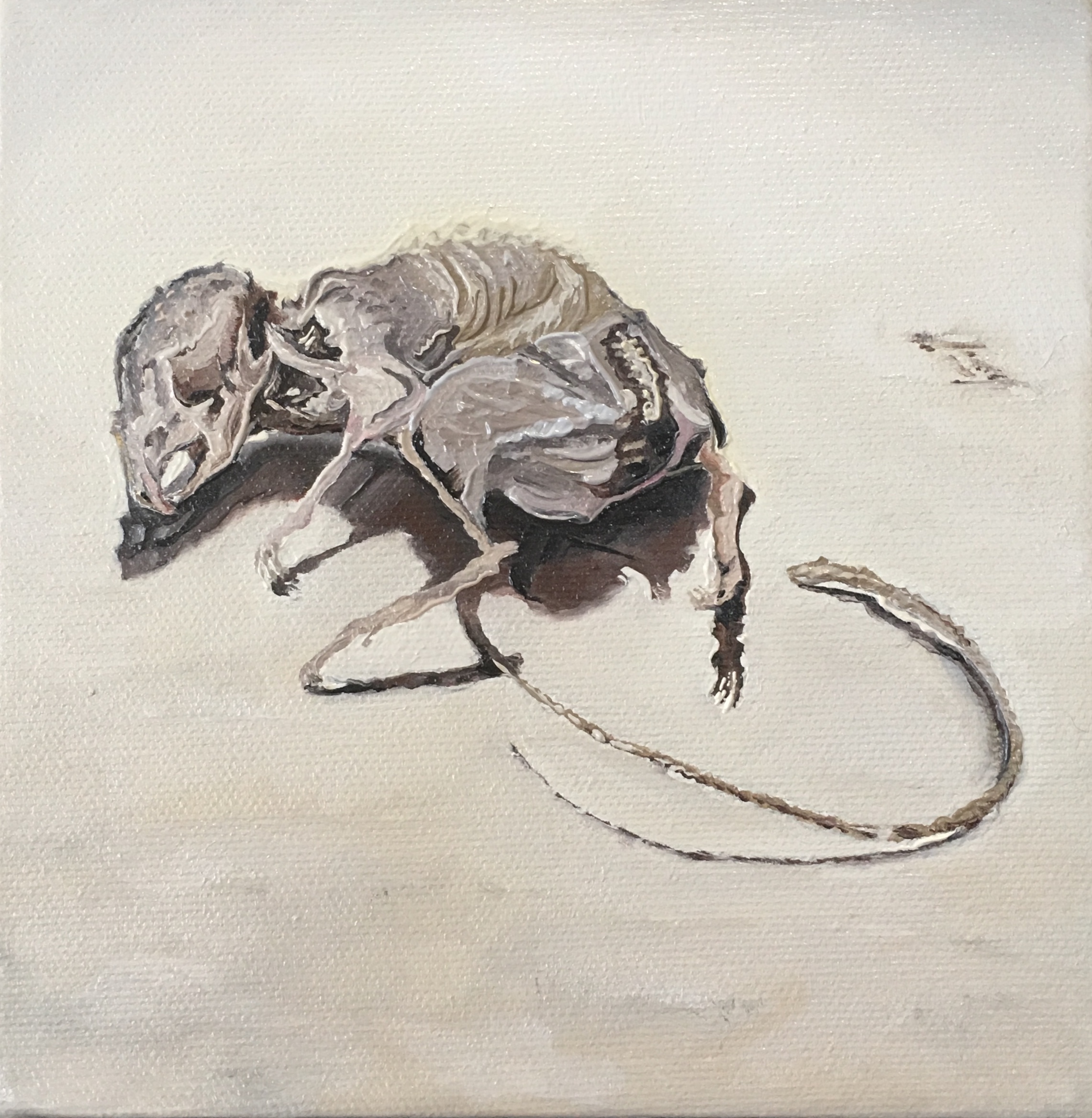 Even a Mouse Gets Tired of the Maze
