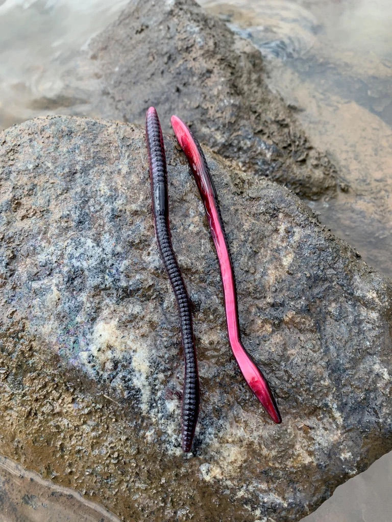 Thumbnail: 6’’ Finesse Worm